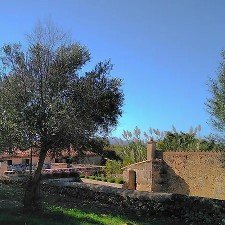 Son Sureda Farm stay