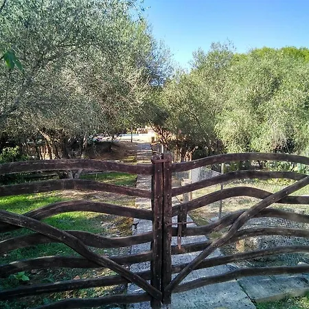 Son Sureda Farm stay *