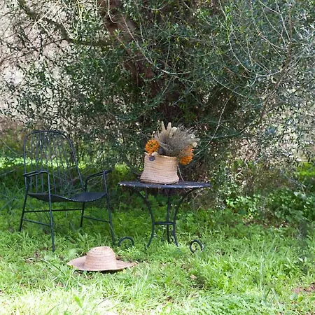 Alloggio per agriturismo Son Sureda *